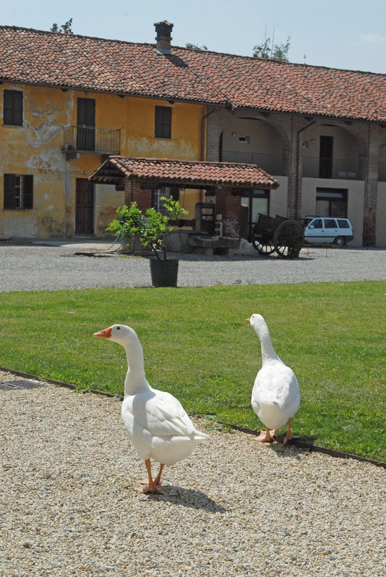 Hotel Antico Podere Propano ซาลุซโซ ภายนอก รูปภาพ